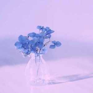 دانلود آهنگ خدا حفظت کنه میری سفر الهی آمین